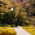 Two people walking outdoors on a tree-lined path during the day